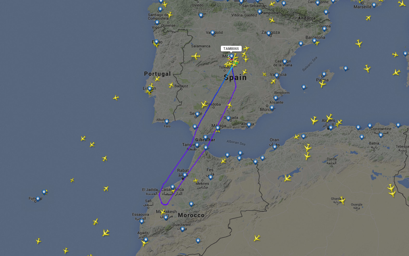 Imagem do site de monitoramento de voos Flight Radar mostra o trajeto do voo da Tam que retornou a Madri (Foto: Reprodução/Flight Radar)