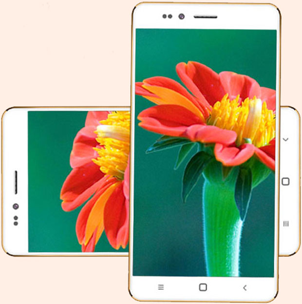 Smartphone Freedom 251, feito pela Ringing Bells, que diz que o aparelho é o mais barato do mundo (Foto: Divulgação/Ringing Bells)