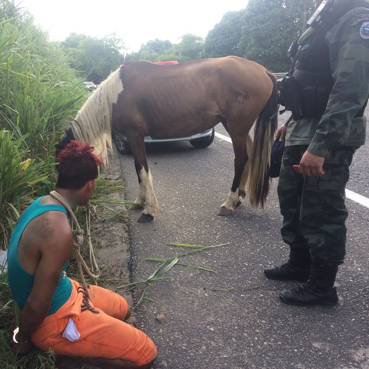 Homem é preso ao assaltar duas mulheres e fugir em cavalo, na PB (Foto: Ten. Jivago Godoi/BPAmb)