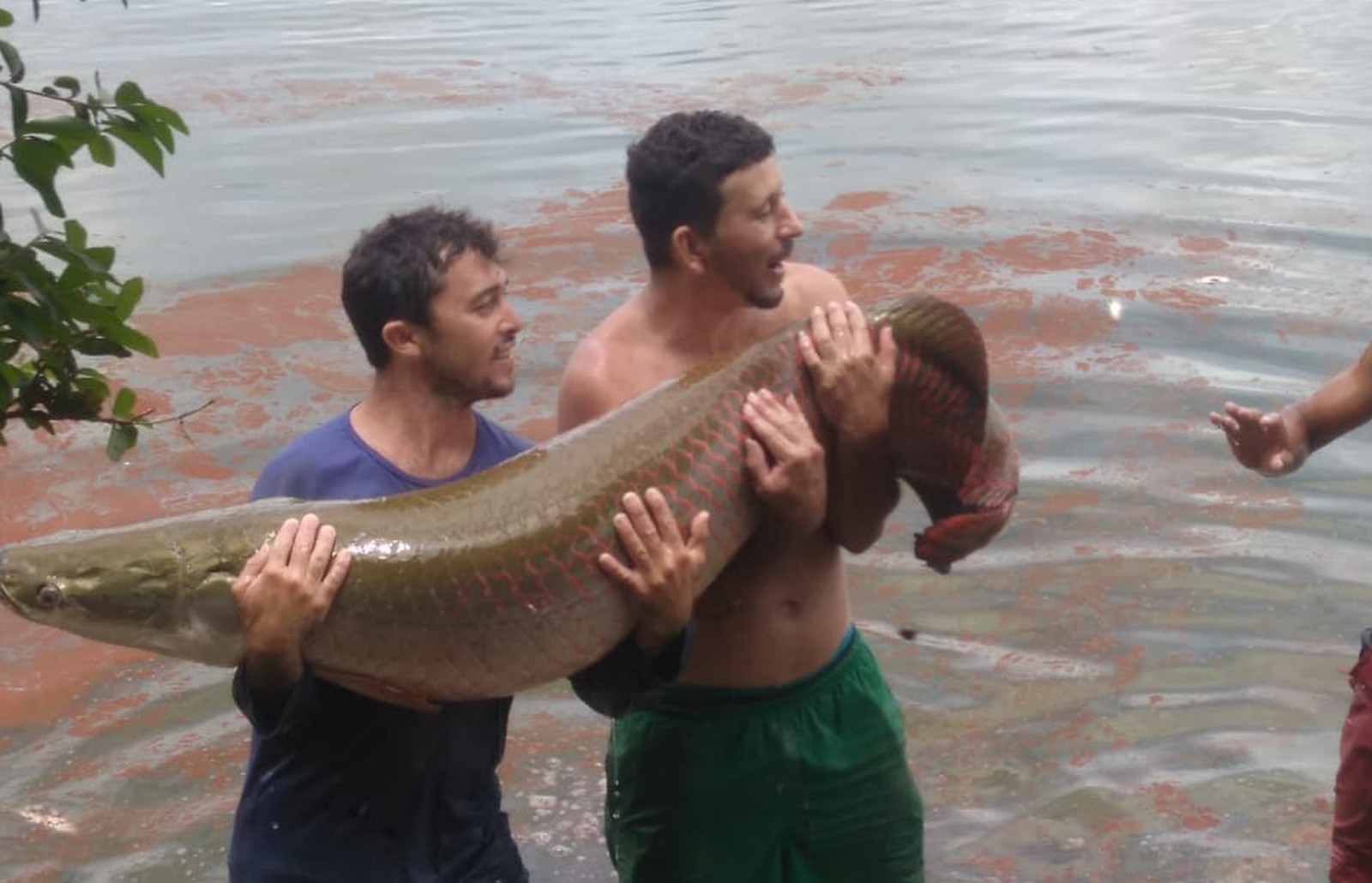 Peixe pirarucu com 62 quilos, em Coremas, na Paraíba (Foto: Salomão Abílio/Arquivo pessoal)