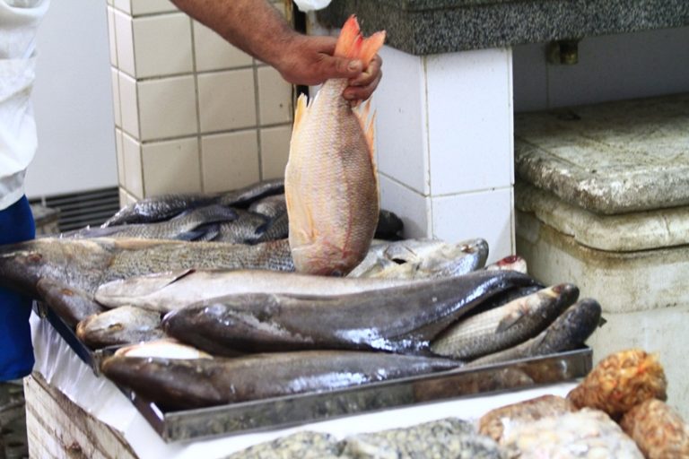 Prefeituras da Paraíba ainda investem no peixe para atender população carente na Semana Santa (Foto: Rizemberg Felipe)